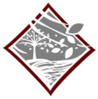 Cherry Tree Design