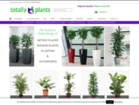 Indoor Plants