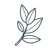 Boxwood Home Interiors