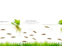 aquascaperoom.ca