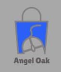 Angel Oak Ltd